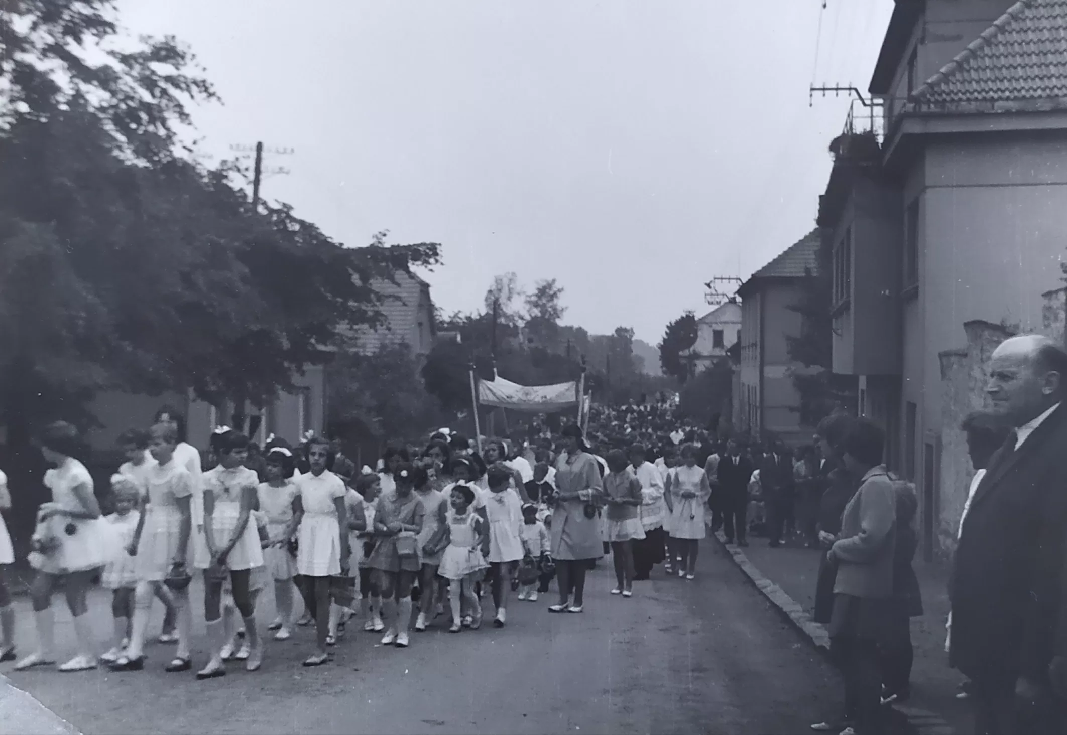 Průvod - fotografie 9